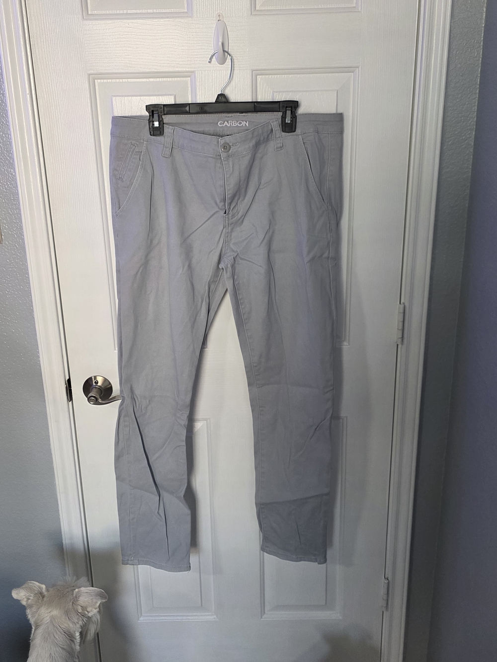 Carbon Men's Light Gray Chino Pants